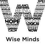 Wise Minds Dialectical Behavioral Therapy