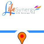 Life Synergy, LLC