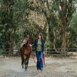 The Equine Healing Collaborative