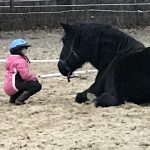 Project Hope Equine Assisted Therapies