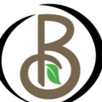 Bending Birch Counseling's profile picture