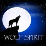 Wolf Spirit Wellness and Counseling Center, LLC's profile picture