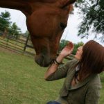 The Equine Haven LLC's profile picture