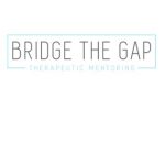 Bridge The Gap Services