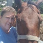 Equine Assisted Trauma Therapy Nancy Wiley LICSW